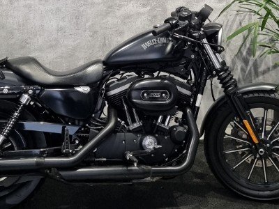 HARLEY DAVIDSON HARLEY XL883 R