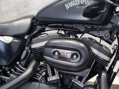 HARLEY DAVIDSON HARLEY XL883 R